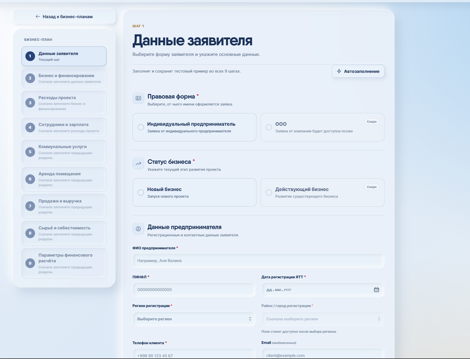Анкета заявителя: правовая форма и статус бизнеса.
